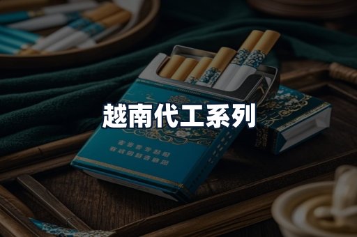 越南代工系列